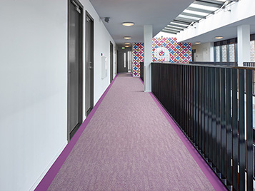 Flotex Colour sheet and border